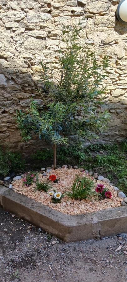 Le 9 De Cour, Chambre Chaco Carcassonne Bagian luar foto