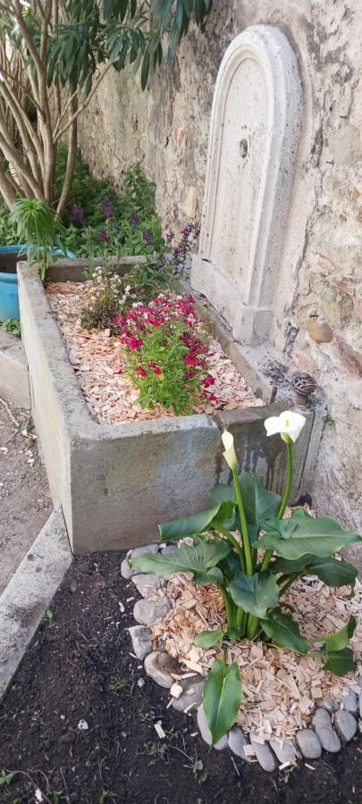 Le 9 De Cour, Chambre Chaco Carcassonne Bagian luar foto