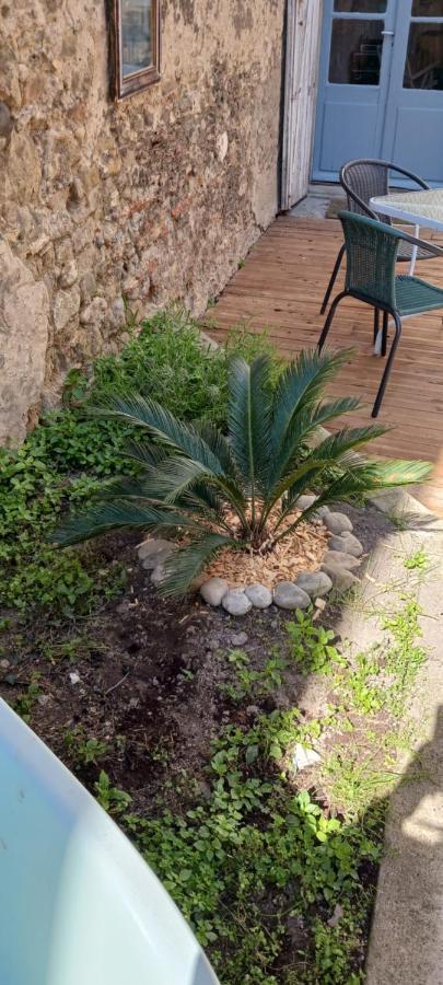 Le 9 De Cour, Chambre Chaco Carcassonne Bagian luar foto